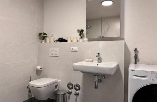Ortenberg Apartamento | Grüne Auszeit - zwischen Schwarzwald & Offenburg