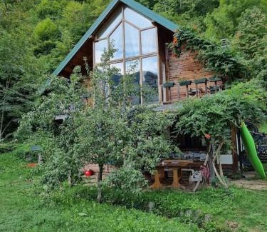 Pluzine Apartamento | Grab cabin
