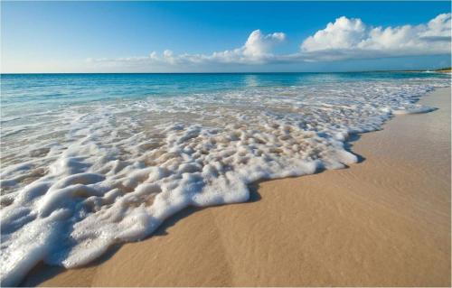 Grace Bay Complejo | Grace Bay Club