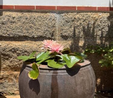 Shuitou Village Casa | Grace Homestay 54