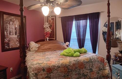 Pelican Casa | Graceland