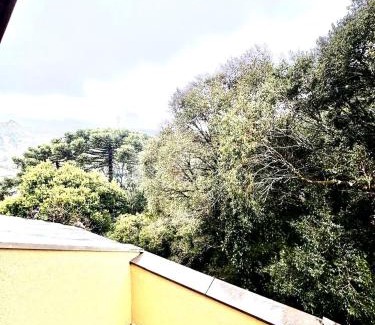 Floresta Apartamento | Gramado Ap Cobertura