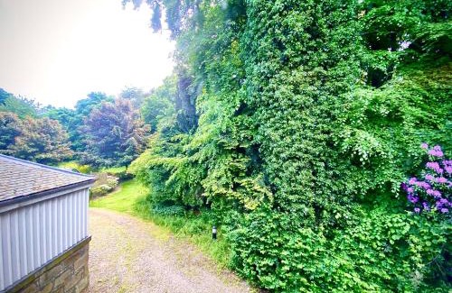 Elgin Apartamento | Grampian Serviced Apartments - Treetops Apartments