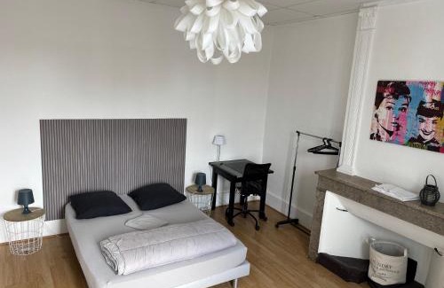 Romans-sur-Isere Apartamento | Grand 2 pièces lumineux plein centre ville