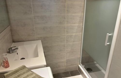 Romans-sur-Isere Apartamento | Grand 2 pièces proche quai de l'Isère