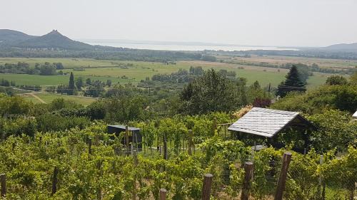 Hegymagas Casa | Grand Cru 4 Vendégház
