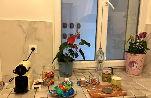 Quartier Centre Ville Apartamento | Grand logement Centre Ville Massy
