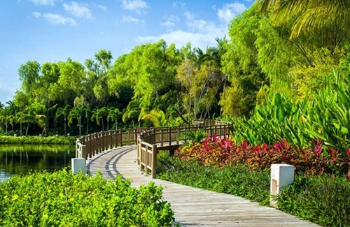Villa Juarez Apartamento | Grand Mayan Master Room – Elegant Escape in Riviera Maya Paradise