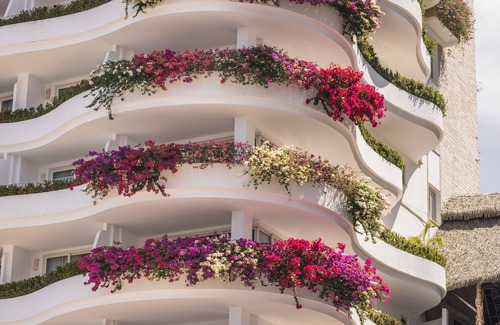 Conchas Chinas Apartamento | Grand Miramar All Luxury Suites & Residences