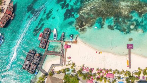 Zona Hotelera Complejo | Grand Oasis Palm - All inclusive