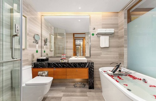 Longhua District Hotel | Grand Skylight International Hotel Guanlan