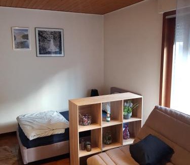 Marnaz Apartamento | grand studio dans une résidence prive avec une cuisine et salle de bain séparé un parking gratuit et une magnifique vue sur les montagness