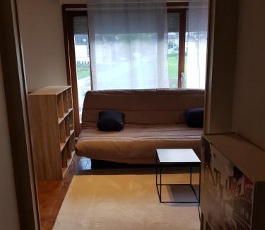 Marnaz Apartamento | grand studio dans une résidence prive avec une cuisine et salle de bain séparé un parking gratuit et une magnifique vue sur les montagness