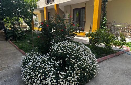 Sigacık Apartamento | Grand Teoshan Otel ve Tatil Evleri