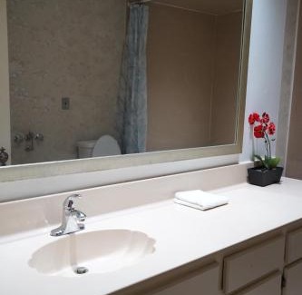Ellendale Casa | Grand Tudor Mansion with Pool near Germantown