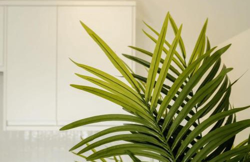 Clifton Apartamento | Grange Rd Flat 5 one bedroom
