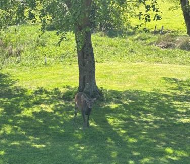 Knockaderry Cross Roads Casa | Granite View