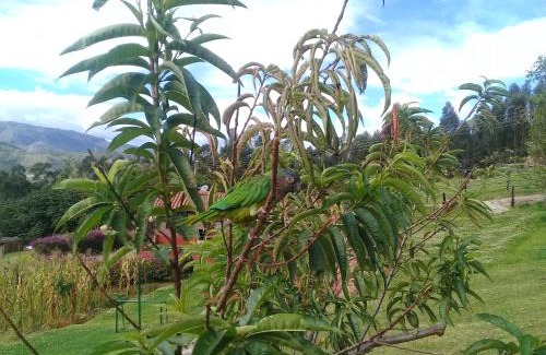 Nobsa Casa | Granja el Milagro - Cabañas Campestres