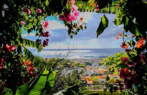 Imaculado Coracao de Maria Casa | Granny's house view
