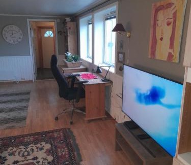 Gravdal Apartamento | Gravdal Basement Apartment