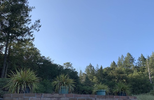Santa Rosa Cabina | Gran cabaña ubicada en el medio del país del vino, St. Helena y Calistoga