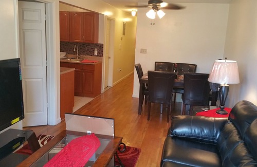 Bedford-Stuyvesant Apartamento | Gran captura! ¡No te lo pierdas!