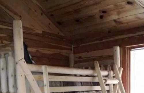 Newnata Cabina | Great Oaks Cabins, Cabin 1