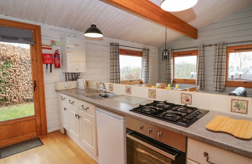 Rhayader Cabaña | Great Owl Lodge