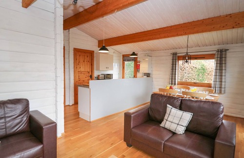 Rhayader Cabaña | Great Owl Lodge