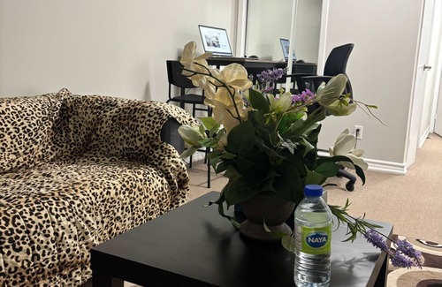 Woodbine Gardens Apartamento | great size apartment near to every thing such as shopping and gym, entertainment