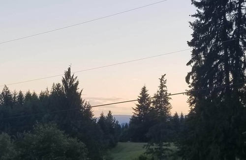 Anglemont Casa | Great view !! Grape Vine Near The Lake a must see .