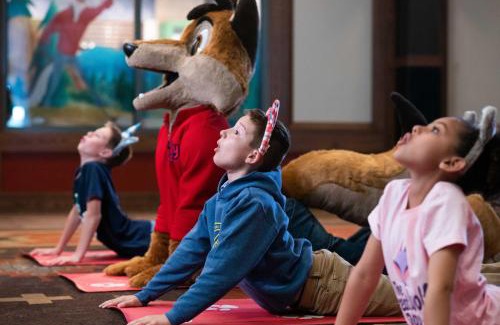 I-435 West KC-KS Complejo | Great Wolf Lodge Kansas City