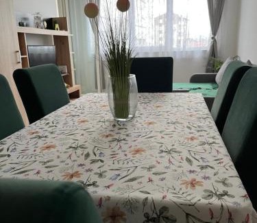 Paracin Apartamento | Green Apartman