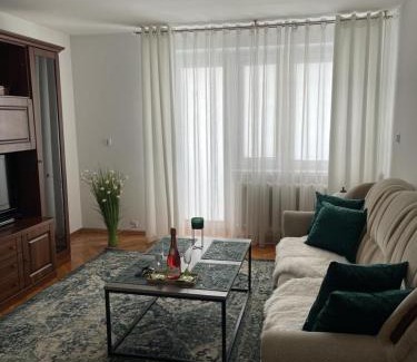 Kolo Apartamento | Green Apartment