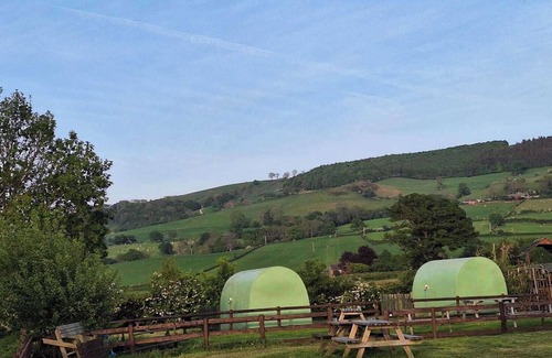 Kingswood Cabina | Green Dragon and Kitchen Pod - Sleeps 2 & Parking