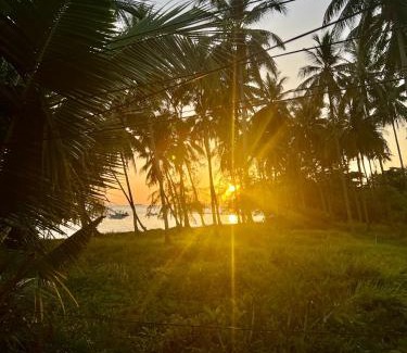 Ang Thong Complejo | Green Heaven Bungalows
