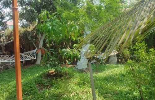 Chendhare Casa | Green heaven homestay