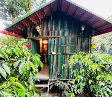 Madikeri Casa | Green Heaven
