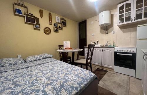 Downtown Apartamento | Green Hills II by Rent a car MI
