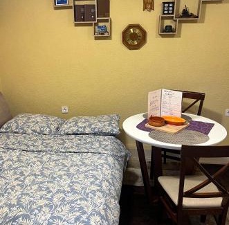 Downtown Apartamento | Green Hills II by Rent a car MI