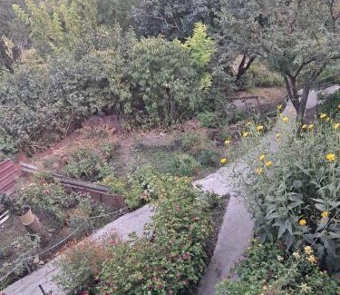 Sighnaghi Casa | Green House მწვანე სახლი