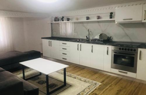 Elbasan Apartamento | Green house, 1 bedroom & 1 kitchen apartment, located in Elbasan city center