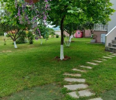 Eleftheres Villa | Green Meadow