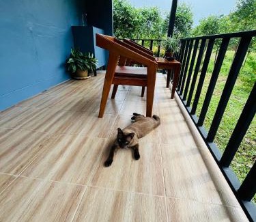 Ko Yao Casa | Green Mountain Resort Koh Yao