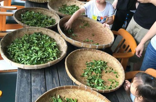 Dongshan Casa | Green Ozland B&B