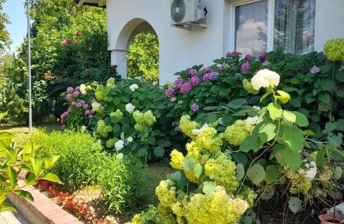 Pejë Casa | Green Paradise Villa