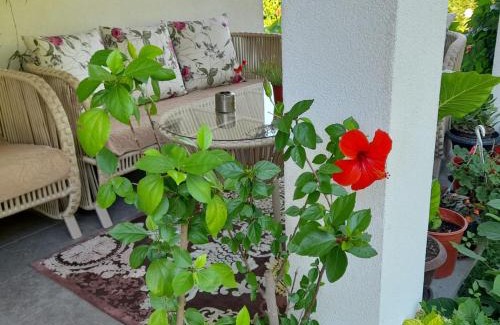 Pejë Casa | Green Paradise Villa