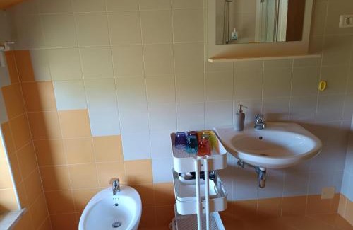 Sezana Apartamento | Green view apartment