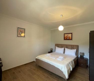 Aliko Apartamento | Green Villa Berdenesh
