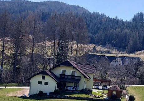 Sankt Peter am Kammersberg Apartamento | Greimblick